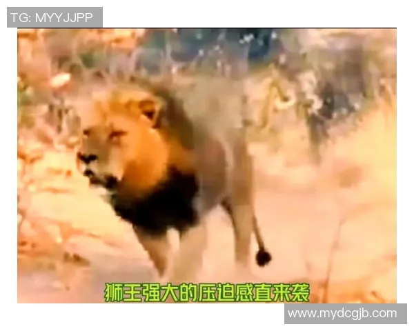 狮王称号背后的故事揭晓他是哪个足球明星的传奇人生