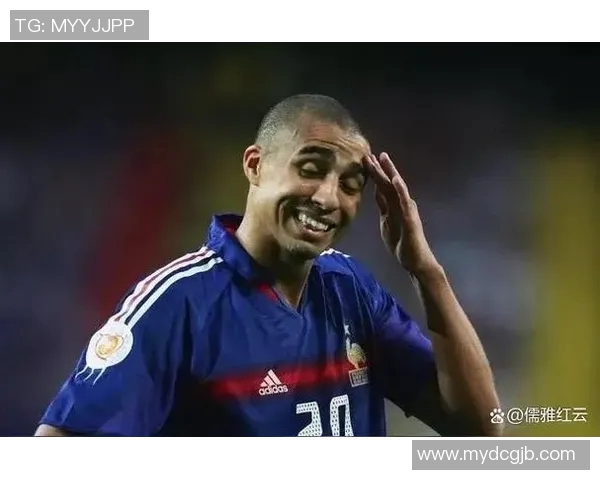 记忆中的足球明星那些年我们追逐的绿茵传奇与梦想