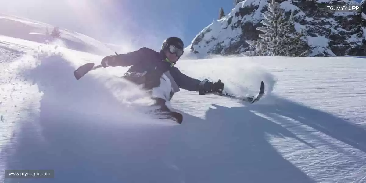 🏀全明星阵容,震撼来袭!篮球联赛官网,每一场都是视觉盛宴!🎯💥